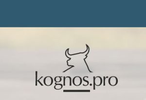 Image avec un taureau logo de kognos.pro