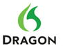 Image de flamme verte avec l'inscription Dragon pour la dictée numérique